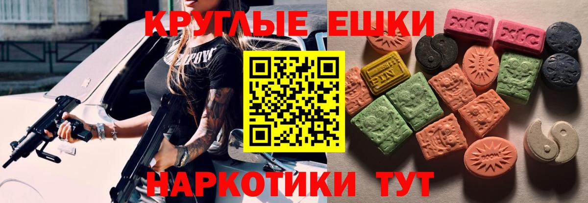 Ecstasy Philipp Plein  Вход с VPN  Пенза 